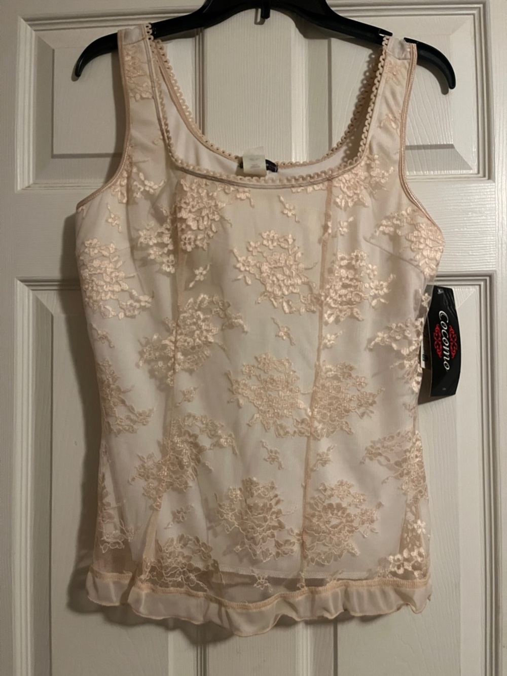 Cocomo Sheer Lace Floral Camisole in Blush